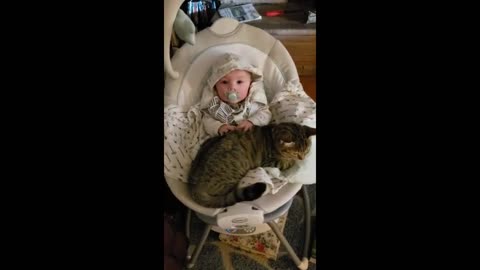 Cute Baby & Cat Friendship/ funny animals