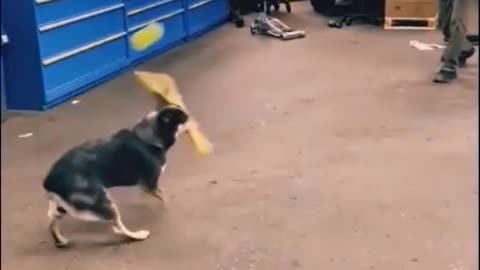 Sign him up!