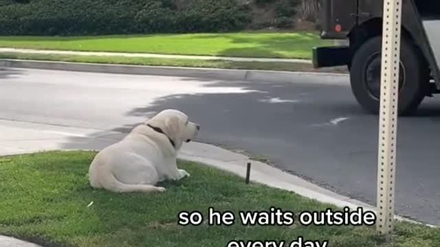 No one stop for me