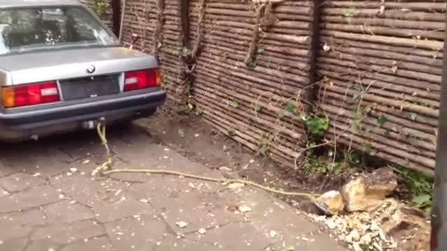The Best Fails In All Time