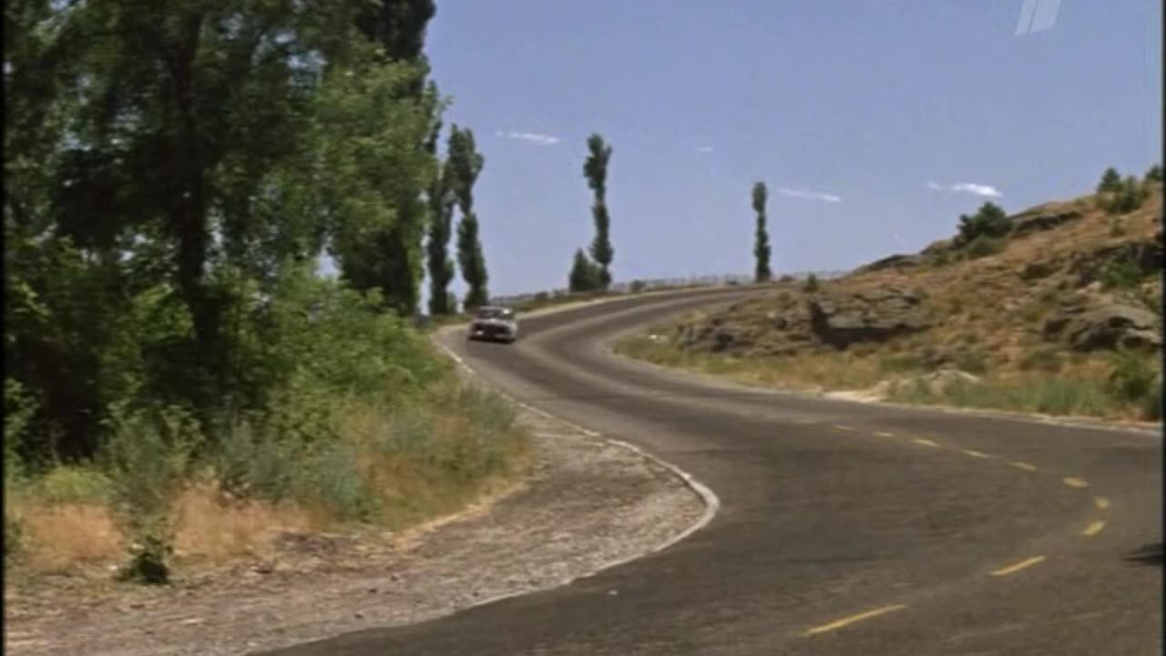 Hard Contact 1969