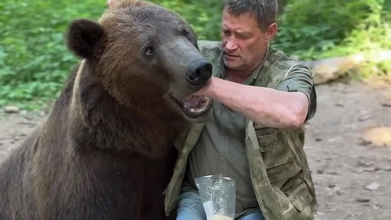 Fun moments with Bear