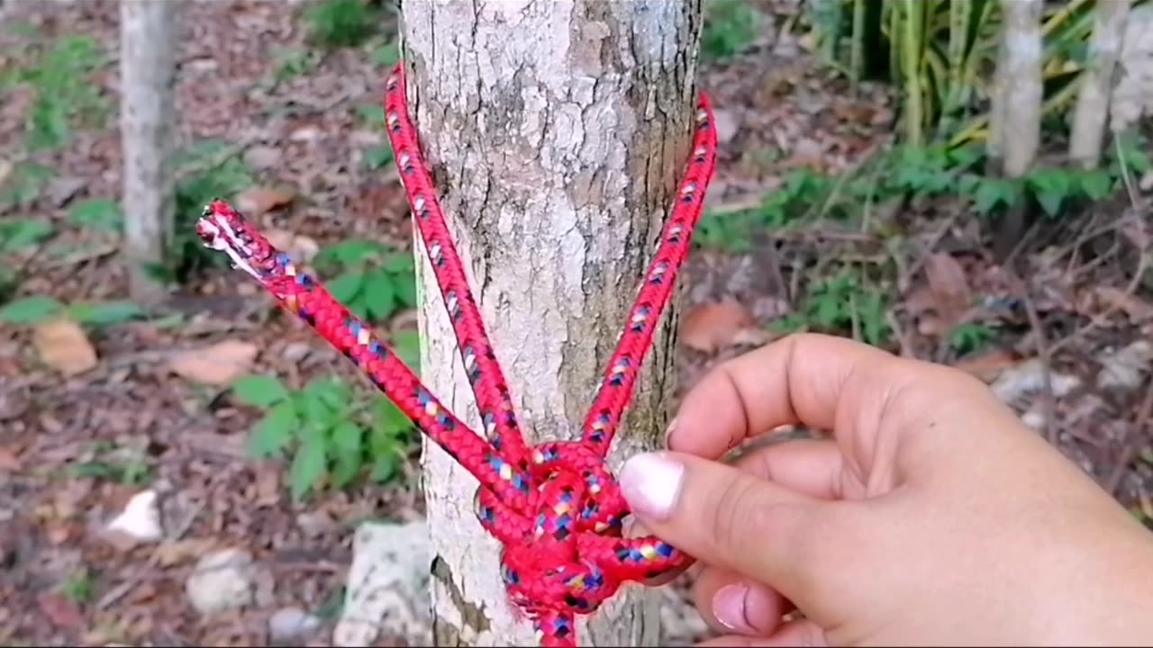" Traction Knot "