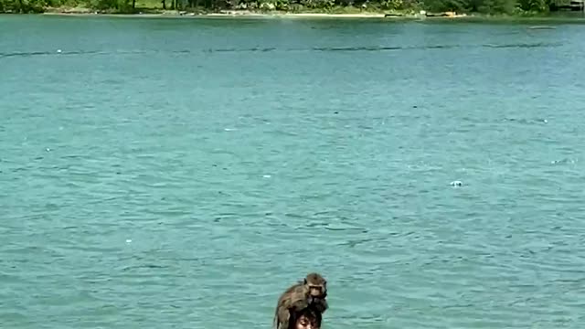 Girl with monkey.