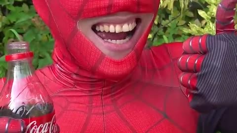 Spiderman Funny Video