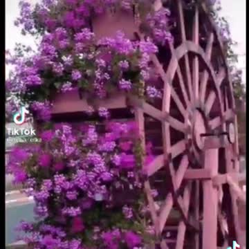 A mix of food 🥝🤣 supliments