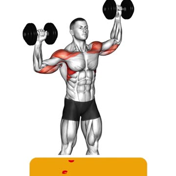 Build Powerful Shoulders #shoulderexercises #fitnessgoals #upperbodyworkout