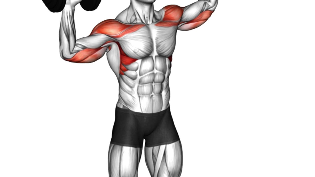 Build Powerful Shoulders #shoulderexercises #fitnessgoals #upperbodyworkout