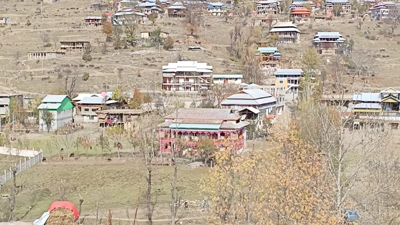 Neelum valley kail