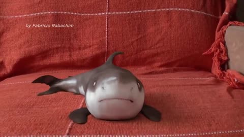 ADORABLE BABY SHARK