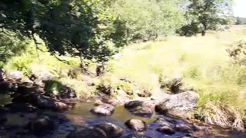 Riverside coffee. Riverside. AUG 2022