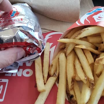 Meal, Wendy's, Woodward Ave, Ferndale, MI, 8/19/23