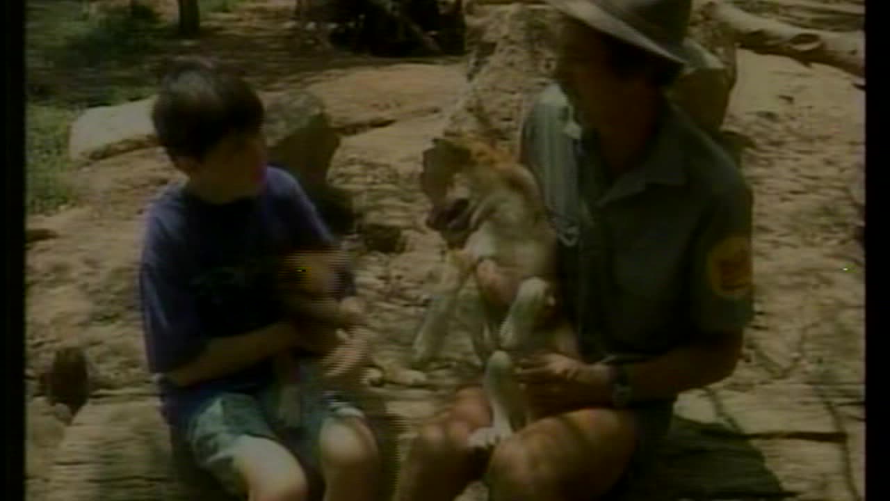 Owl TV - CTV - [unknown date or year]