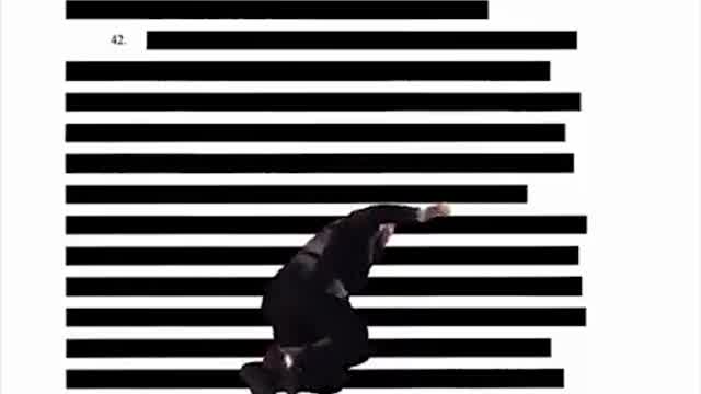 Redact This!