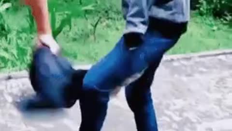 When a mad squirrel wants your nuts, watch out!