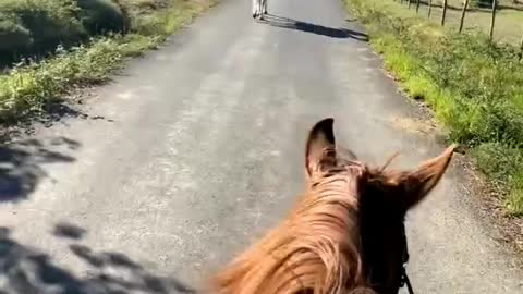 horse riding