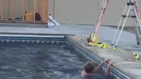 The end 😂😂😂 #funny #viral #shorts #reels #funnyvideos #laughinggenetics