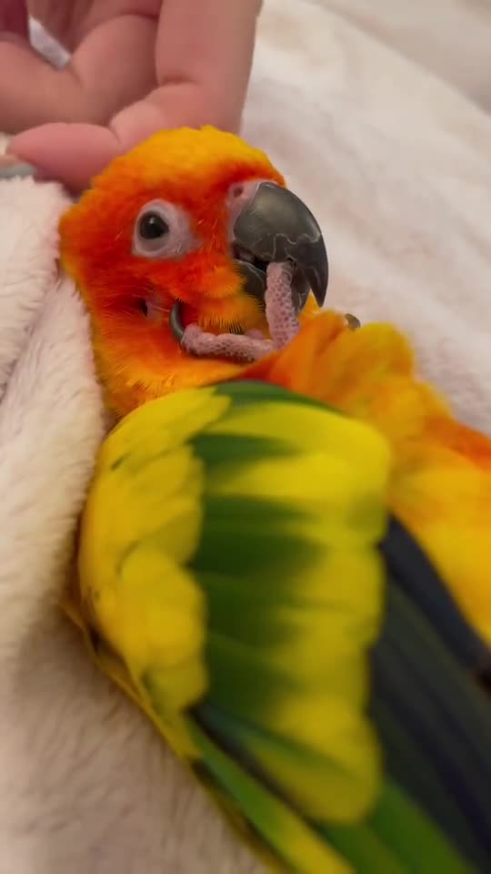 Wish I was this lucky guy