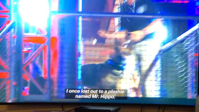 Dog jokes