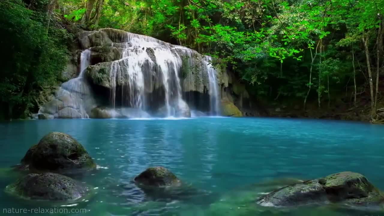 waterfall tropic birds singing