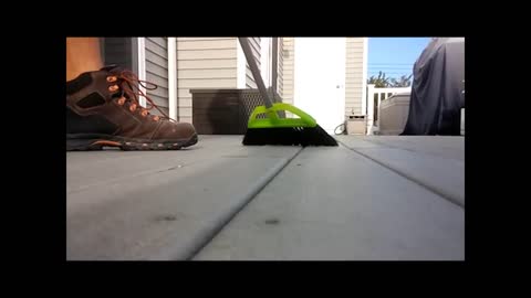 Tom Nook (gone rabies)