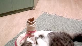 This is love: cat licking his favourite toy mouse