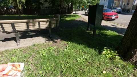 🍱 Picking Up Liter 🚮 @ Bench Park Dedication In Canada’s Capital Region 🍁