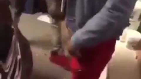Best Street Fight Compilation 2024 #146