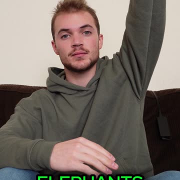 This Is What Happens To Thousands Of Elephants Stacked On Each Other