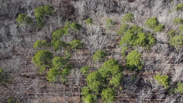 drone footage over mark Twain National Forest