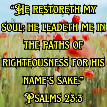 Psalms 23:3