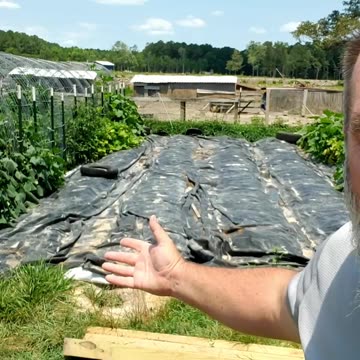 Kill Weeds FAST Without Poisons!