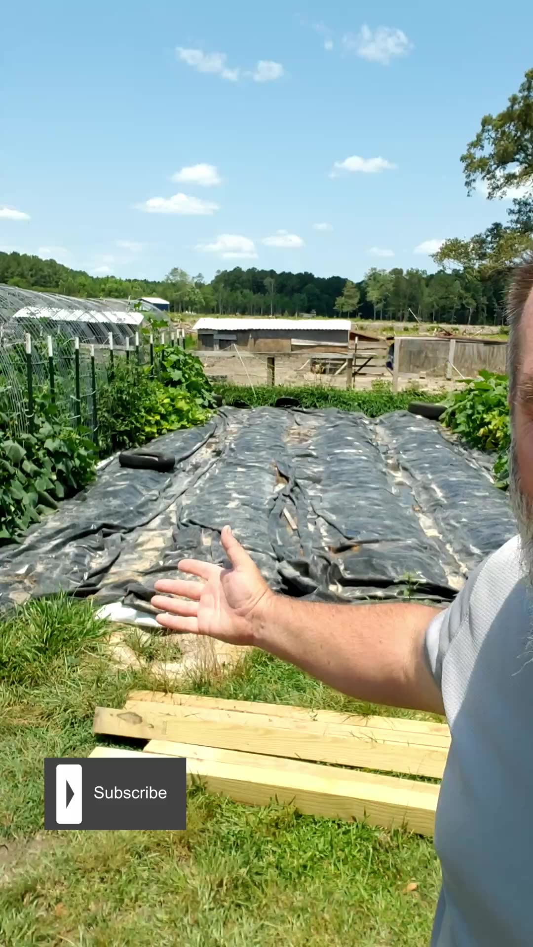 Kill Weeds FAST Without Poisons!