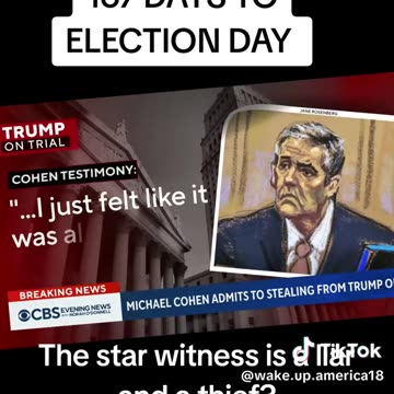 Michael Cohen - Expert Witness??