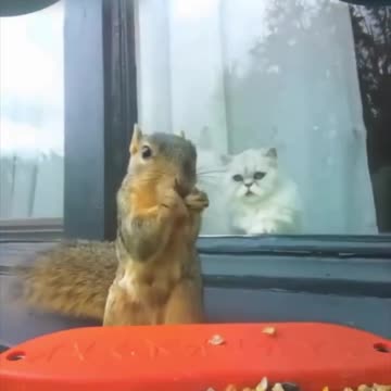 This is me watching my forever skinny friend eat like crazy and not get fat: