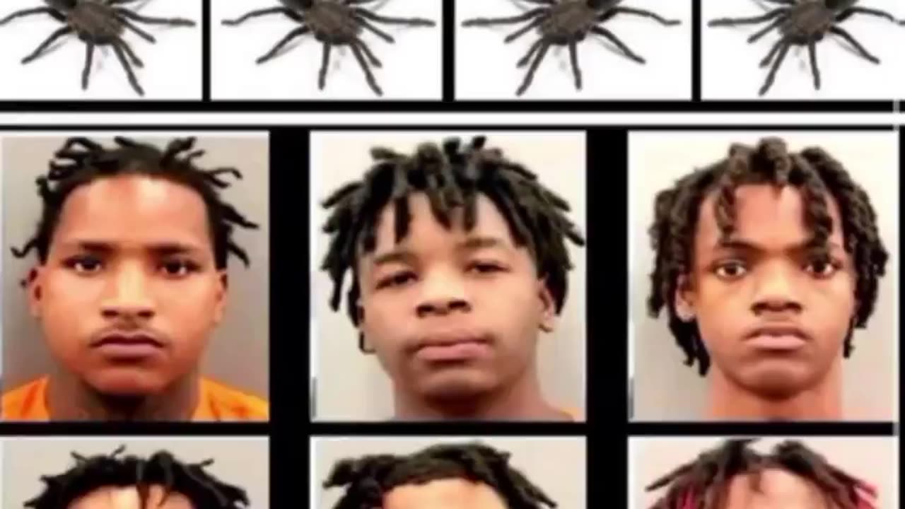 Niggly Crimes N2.mp4