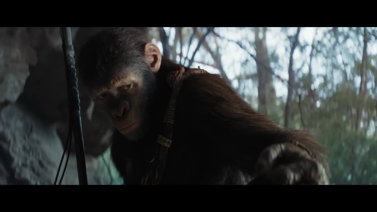 Kingdom of the Planet of the Apes Official Trailer