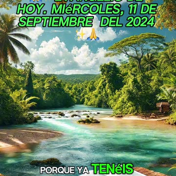 🙏✨Evangelio de HOY. Miércoles, 11 de Septiembre del 2024 ✨🙏