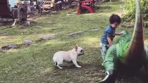 Little boy blowup trex white frenchie fall over