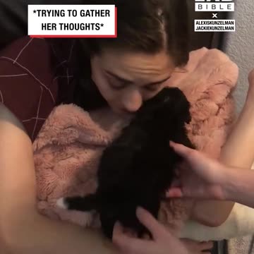 Girl wakes up to surprise puppy