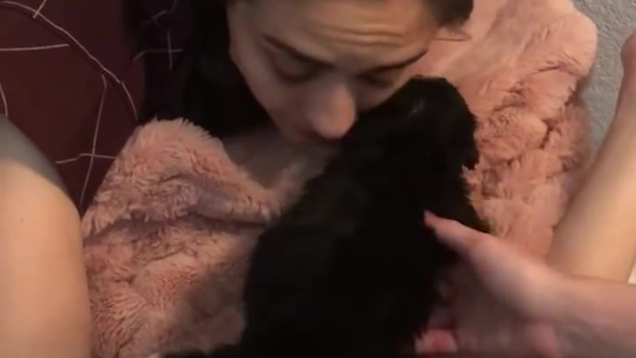 Girl wakes up to surprise puppy