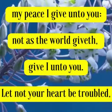 Jesus Said Peace I leave with you, my peace I give unto you: not as the world giveth...