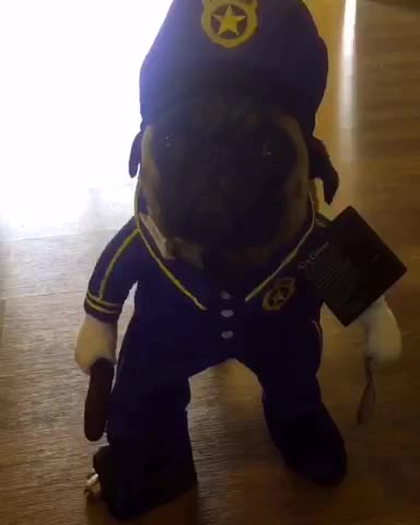 Guilty Pups Get Caught Red-Pawed By Smug Pug Officer