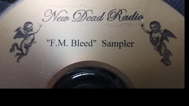 NEW DEAD RADIO "Ribcage"