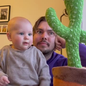 funny|prank|jokes|funny jokes|dad jokes|funny memes|funny video|fun|laughing|funny animal|knock