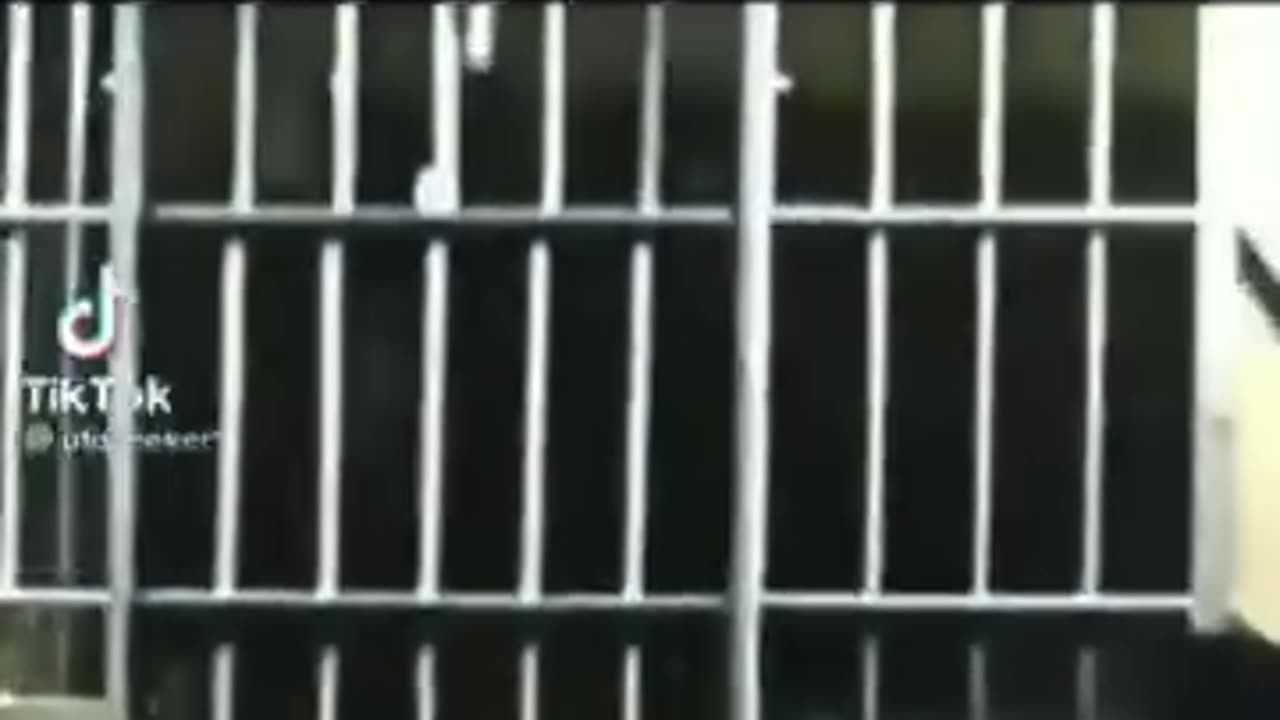 Bigfoot 😆🤣😂