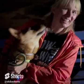 I caught them snuggling at the beach