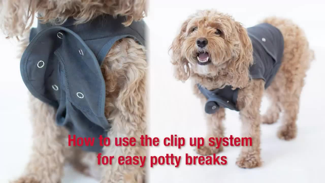 Dog Recovery Onesie - Cone Alternative - After Surgery Wear
