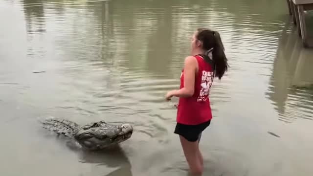 Woman vs crocodile