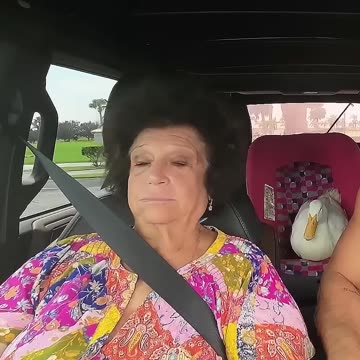 MAN HATE THIS CAR WITH A BLACK BEAR